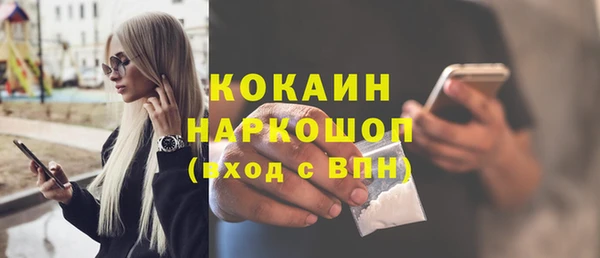 тгк Ельня