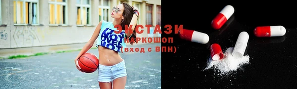 тгк Ельня