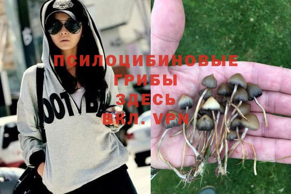 хмурый Дмитров