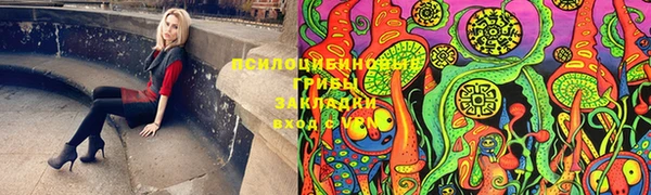 стаф Дмитровск
