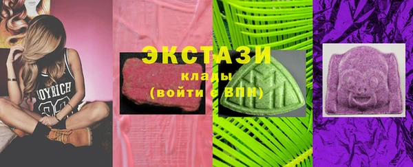 хмурый Дмитров