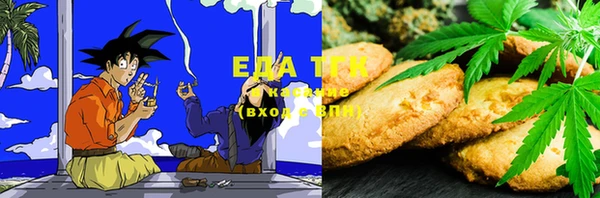 тгк Ельня