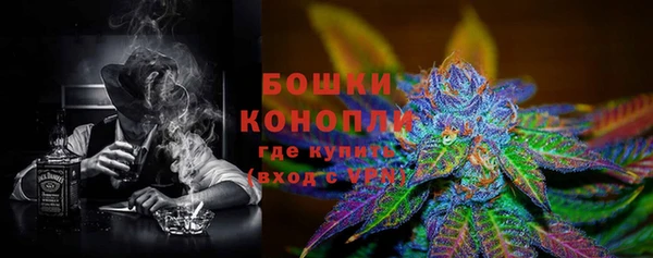 хмурый Дмитров